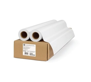 HP Everyday Matte Polypropylene 120gr 0,610 (24") x 30,50m lot de 2